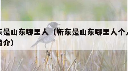 靳东是山东哪里人（靳东是山东哪里人个人资料简介）