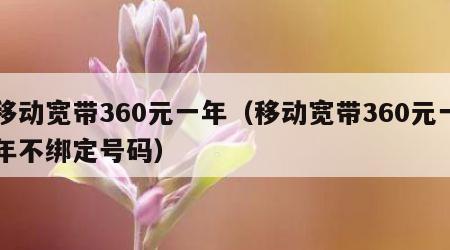 移动宽带360元一年（移动宽带360元一年不绑定号码）