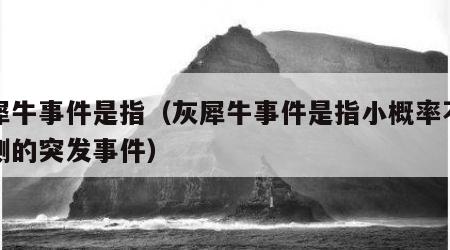 灰犀牛事件是指（灰犀牛事件是指小概率不可预测的突发事件）