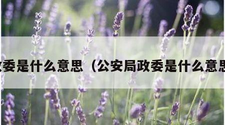 政委是什么意思（公安局政委是什么意思）