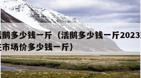 活鹅多少钱一斤（活鹅多少钱一斤2023现在市场价多少钱一斤）