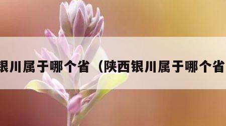 银川属于哪个省（陕西银川属于哪个省）