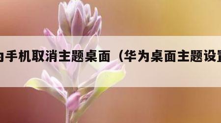华为手机取消主题桌面（华为桌面主题设置取消）