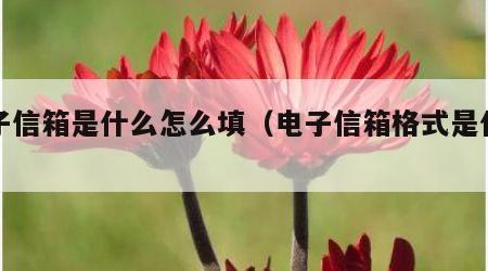 电子信箱是什么怎么填（电子信箱格式是什么）