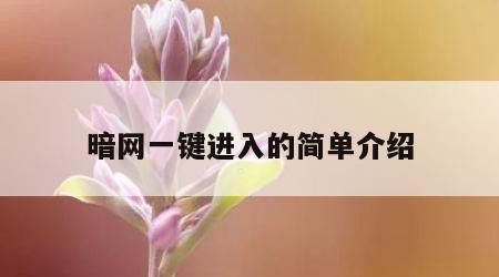 暗网一键进入的简单介绍