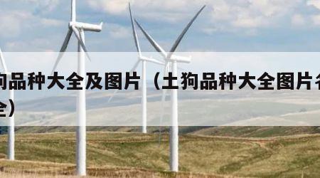 土狗品种大全及图片（土狗品种大全图片名字大全）
