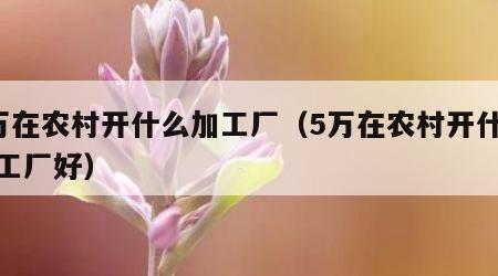 5万在农村开什么加工厂（5万在农村开什么加工厂好）