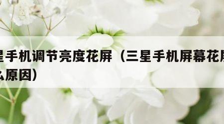 三星手机调节亮度花屏（三星手机屏幕花屏是什么原因）