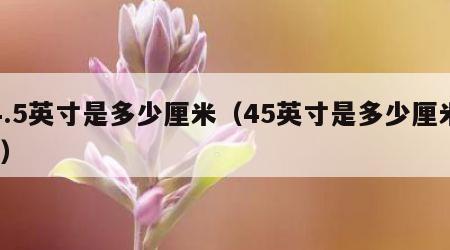 4.5英寸是多少厘米（45英寸是多少厘米?）