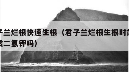 君子兰烂根快速生根（君子兰烂根生根时能用磷酸二氢钾吗）