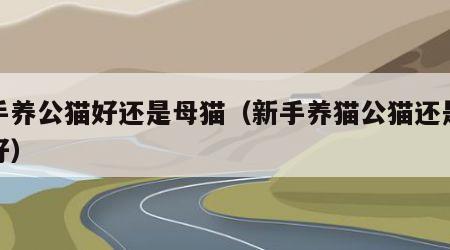 新手养公猫好还是母猫（新手养猫公猫还是母猫好）
