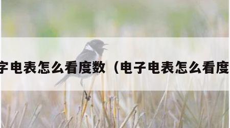 数字电表怎么看度数（电子电表怎么看度数）