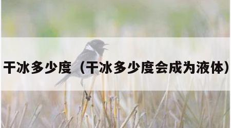干冰多少度（干冰多少度会成为液体）