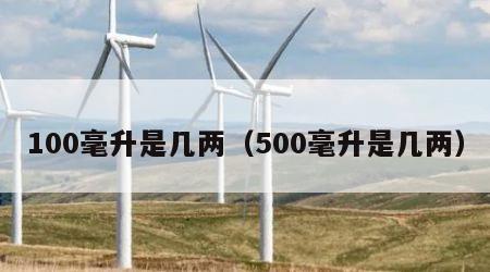 100毫升是几两（500毫升是几两）
