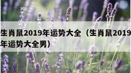 生肖鼠2019年运势大全（生肖鼠2019年运势大全男）