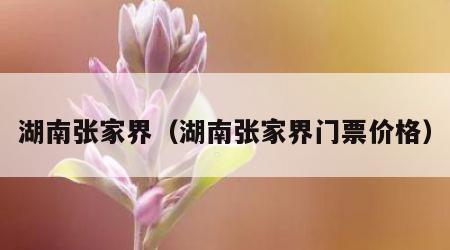 湖南张家界（湖南张家界门票价格）