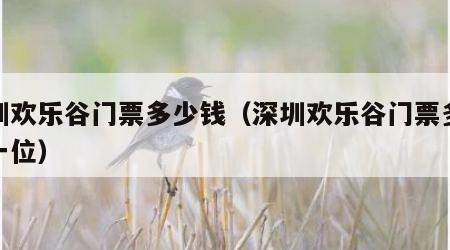 深圳欢乐谷门票多少钱（深圳欢乐谷门票多少钱一位）