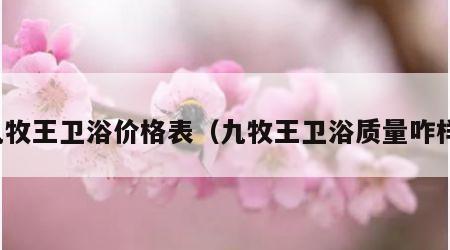 九牧王卫浴价格表（九牧王卫浴质量咋样）