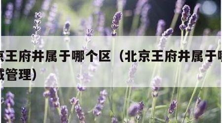 北京王府井属于哪个区（北京王府井属于哪个区域管理）