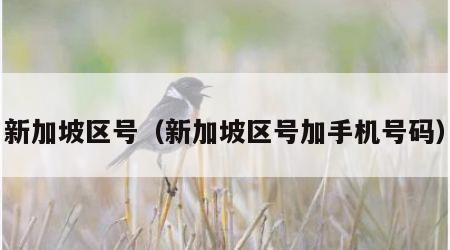 新加坡区号（新加坡区号加手机号码）