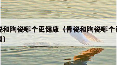 骨瓷和陶瓷哪个更健康（骨瓷和陶瓷哪个更健康知）