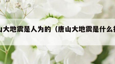 唐山大地震是人为的（唐山大地震是什么报应）