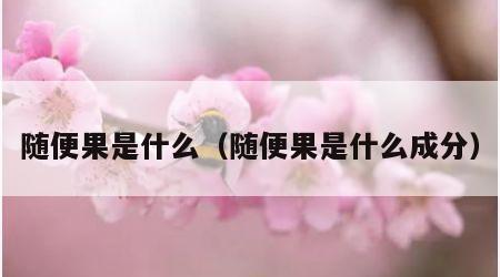 随便果是什么（随便果是什么成分）