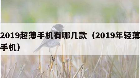 2019超薄手机有哪几款（2019年轻薄手机）