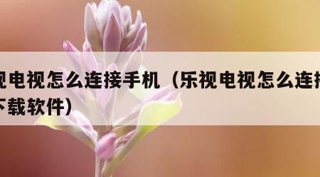 乐视电视怎么连接手机（乐视电视怎么连接手机下载软件）