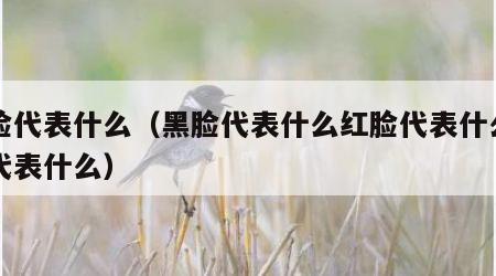 黑脸代表什么（黑脸代表什么红脸代表什么白脸代表什么）