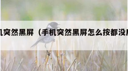 手机突然黑屏（手机突然黑屏怎么按都没反应）