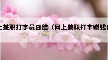 网上兼职打字员日结（网上兼职打字赚钱日结）