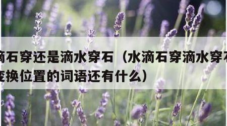 水滴石穿还是滴水穿石（水滴石穿滴水穿石可以变换位置的词语还有什么）