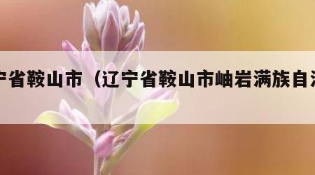 辽宁省鞍山市（辽宁省鞍山市岫岩满族自治县）