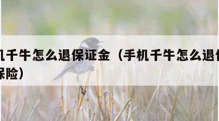 手机千牛怎么退保证金（手机千牛怎么退保证金保险）