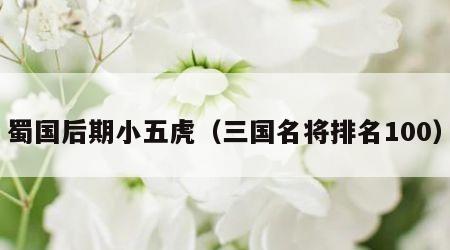 蜀国后期小五虎（三国名将排名100）