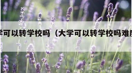 大学可以转学校吗（大学可以转学校吗难度大吗）