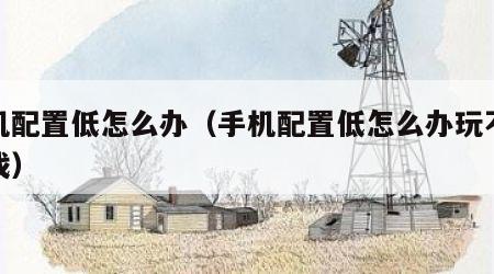 手机配置低怎么办（手机配置低怎么办玩不起游戏）