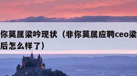 非你莫属梁吟现状（非你莫属应聘ceo梁吟最后怎么样了）