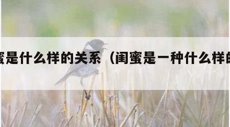 闺蜜是什么样的关系（闺蜜是一种什么样的关系）