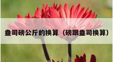 盎司磅公斤的换算（磅跟盎司换算）