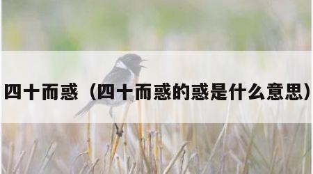 四十而惑（四十而惑的惑是什么意思）