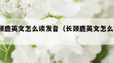 长颈鹿英文怎么读发音（长颈鹿英文怎么读?）