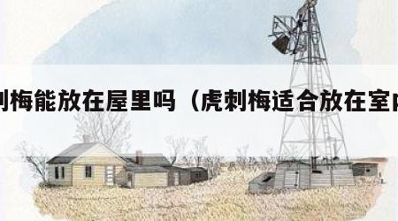 虎刺梅能放在屋里吗（虎刺梅适合放在室内吗）