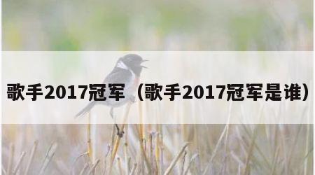 歌手2017冠军（歌手2017冠军是谁）
