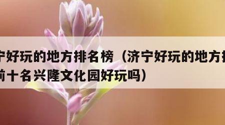 济宁好玩的地方排名榜（济宁好玩的地方排名榜前十名兴隆文化园好玩吗）
