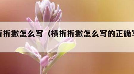 横折折撇怎么写（横折折撇怎么写的正确写法）