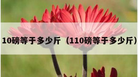 10磅等于多少斤（110磅等于多少斤）