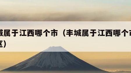 丰城属于江西哪个市（丰城属于江西哪个市哪个区）