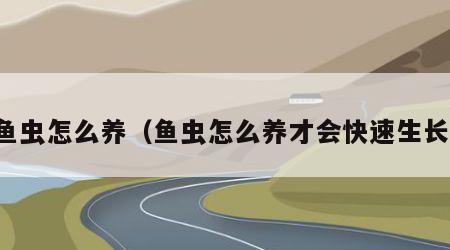 鱼虫怎么养（鱼虫怎么养才会快速生长）